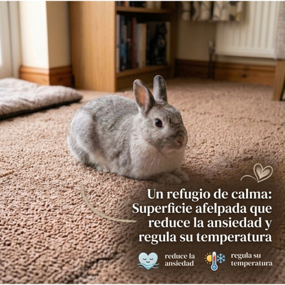 Pet-Mat